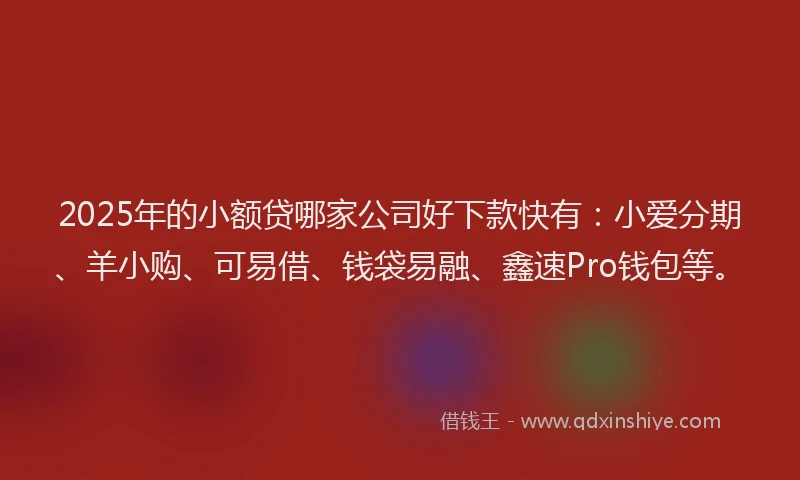 2025年的小额贷哪家公司好下款快有：小爱分期、羊小购、可易借、钱袋易融、鑫速Pro钱包等。