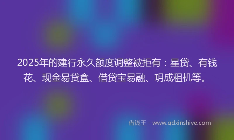 2025年的建行永久额度调整被拒有：星贷、有钱花、现金易贷盒、借贷宝易融、玥成租机等。
