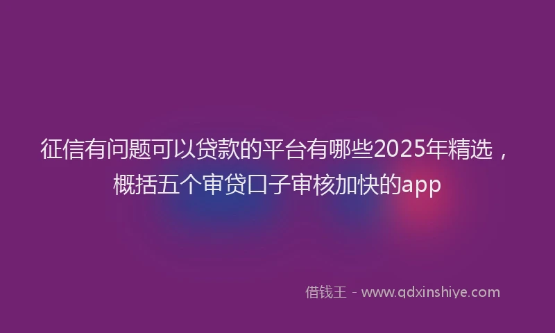 征信有问题可以贷款的平台有哪些2025年精选，概括五个审贷口子审核加快的app