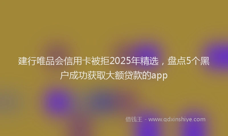 建行唯品会信用卡被拒2025年精选，盘点5个黑户成功获取大额贷款的app