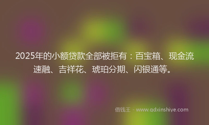 2025年的小额贷款全部被拒有：百宝箱、现金流速融、吉祥花、琥珀分期、闪银通等。