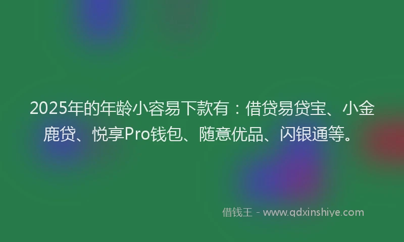 2025年的年龄小容易下款有：借贷易贷宝、小金鹿贷、悦享Pro钱包、随意优品、闪银通等。