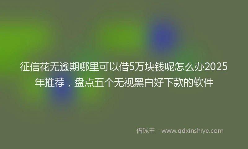 征信花无逾期哪里可以借5万块钱呢怎么办2025年推荐，盘点五个无视黑白好下款的软件