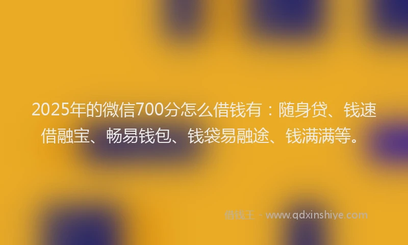 2025年的微信700分怎么借钱有：随身贷、钱速借融宝、畅易钱包、钱袋易融途、钱满满等。
