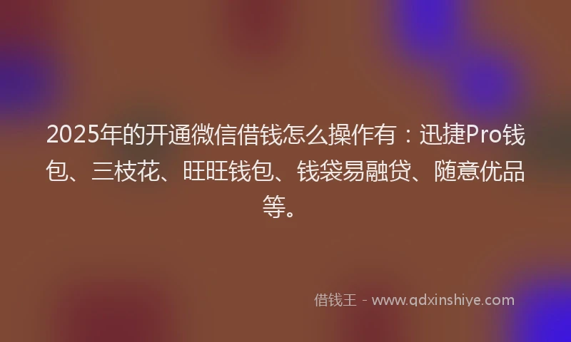2025年的开通微信借钱怎么操作有：迅捷Pro钱包、三枝花、旺旺钱包、钱袋易融贷、随意优品等。