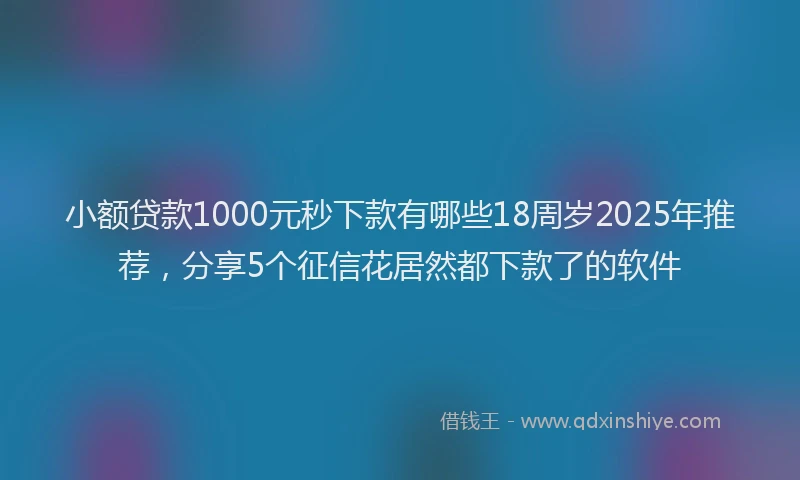 小额贷款1000元秒下款有哪些18周岁2025年推荐，分享5个征信花居然都下款了的软件