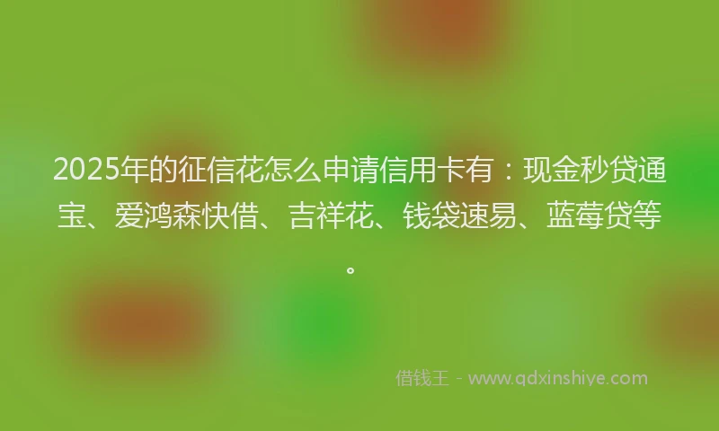 2025年的征信花怎么申请信用卡有：现金秒贷通宝、爱鸿森快借、吉祥花、钱袋速易、蓝莓贷等。