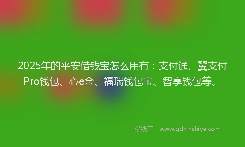 2025年的平安借钱宝怎么用有：支付通、翼支付Pro钱包、心e金、福瑞钱包宝、智享钱包等。