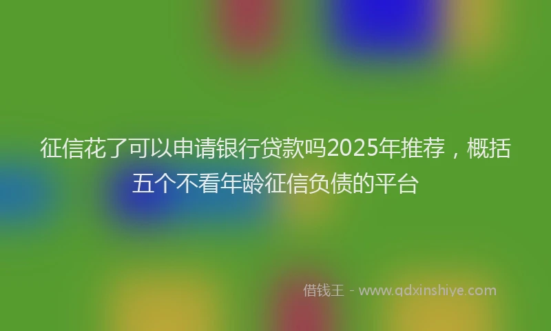征信花了可以申请银行贷款吗2025年推荐，概括五个不看年龄征信负债的平台