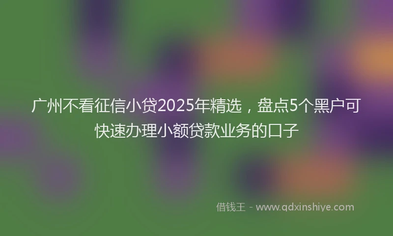 广州不看征信小贷2025年精选，盘点5个黑户可快速办理小额贷款业务的口子
