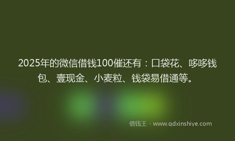 2025年的微信借钱100催还有：口袋花、哆哆钱包、壹现金、小麦粒、钱袋易借通等。