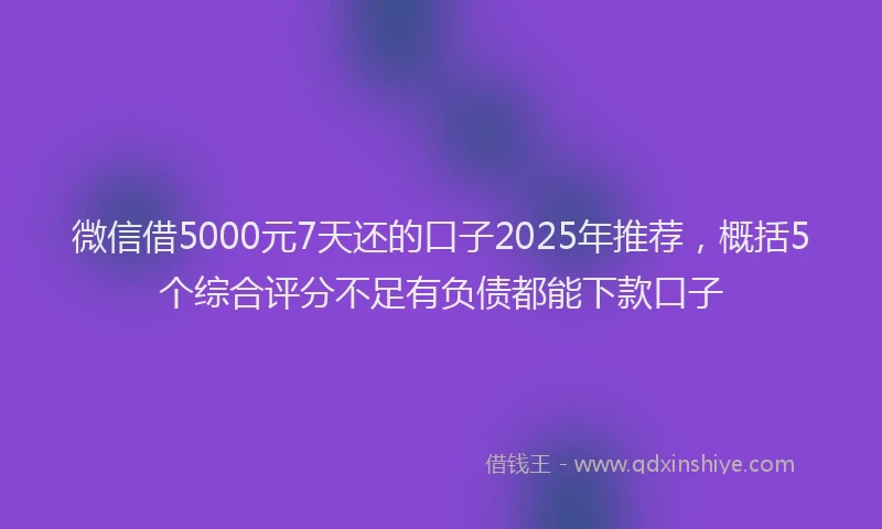 微信借5000元7天还的口子2025年推荐，概括5个综合评分不足有负债都能下款口子