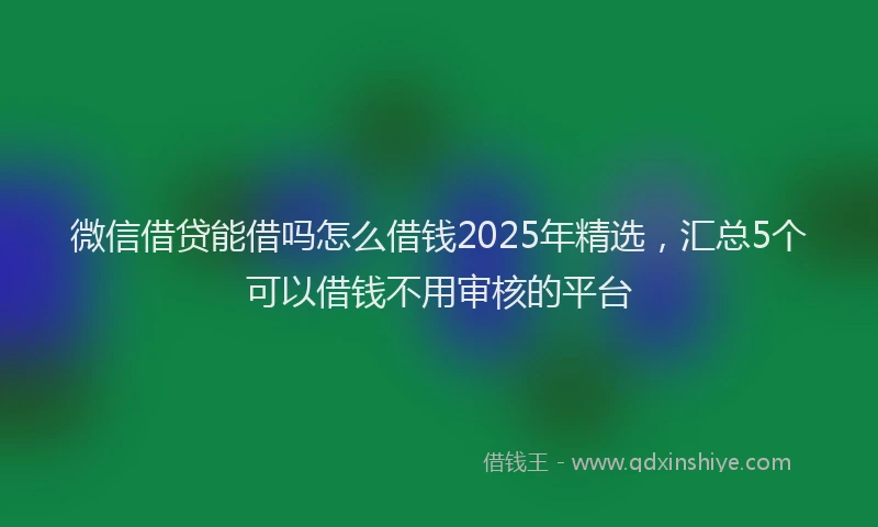 微信借贷能借吗怎么借钱2025年精选，汇总5个可以借钱不用审核的平台