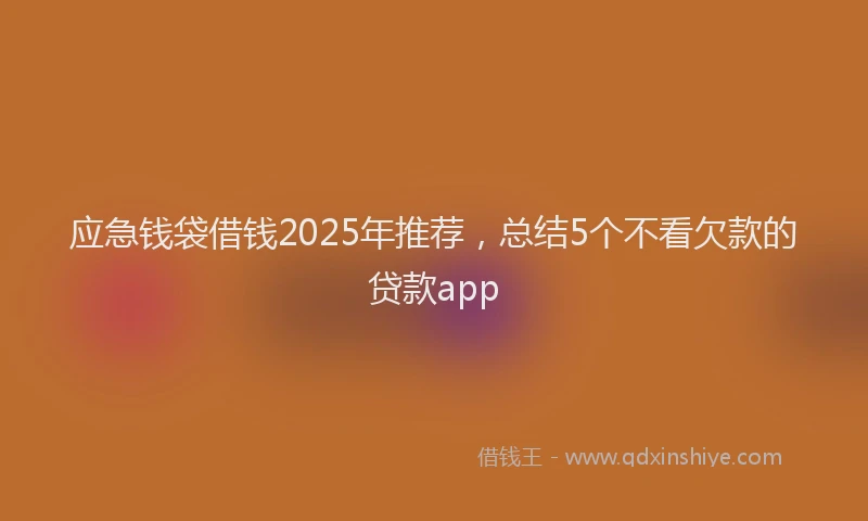 应急钱袋借钱2025年推荐，总结5个不看欠款的贷款app