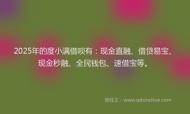 2025年的度小满借呗有：现金直融、借贷易宝、现金秒融、全民钱包、速借宝等。