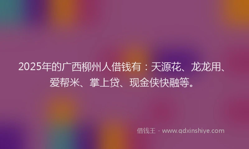 2025年的广西柳州人借钱有：天源花、龙龙用、爱帮米、掌上贷、现金侠快融等。