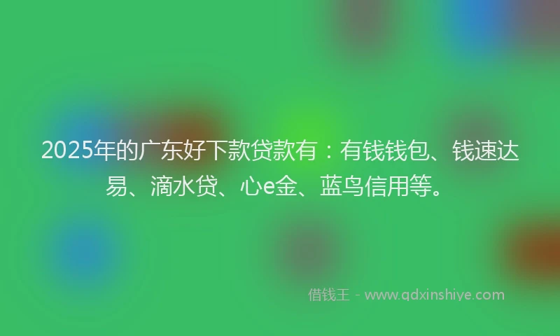 2025年的广东好下款贷款有：有钱钱包、钱速达易、滴水贷、心e金、蓝鸟信用等。