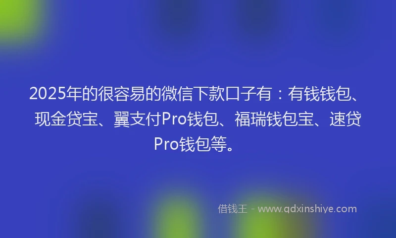 2025年的很容易的微信下款口子有：有钱钱包、现金贷宝、翼支付Pro钱包、福瑞钱包宝、速贷Pro钱包等。