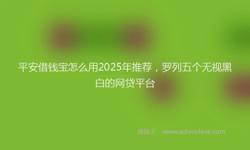 平安借钱宝怎么用2025年推荐，罗列五个无视黑白的网贷平台
