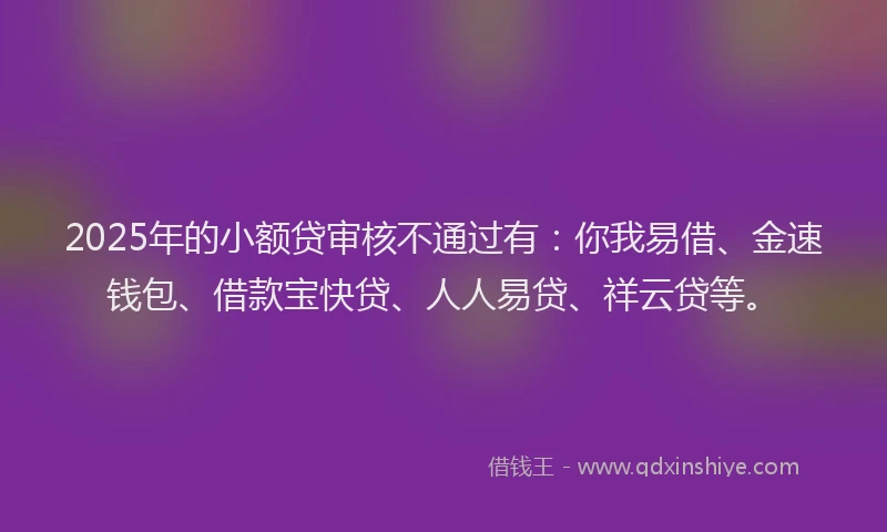 2025年的小额贷审核不通过有：你我易借、金速钱包、借款宝快贷、人人易贷、祥云贷等。