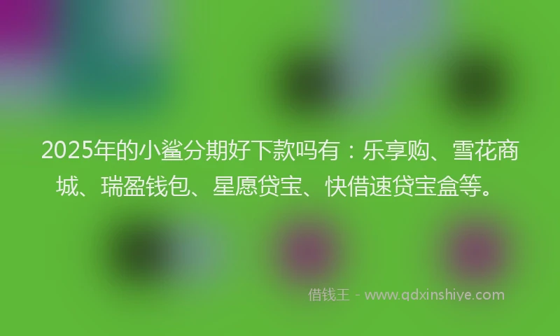 2025年的小鲨分期好下款吗有：乐享购、雪花商城、瑞盈钱包、星愿贷宝、快借速贷宝盒等。