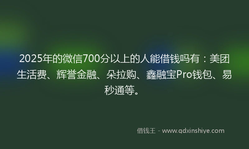 2025年的微信700分以上的人能借钱吗有：美团生活费、辉誉金融、朵拉购、鑫融宝Pro钱包、易秒通等。