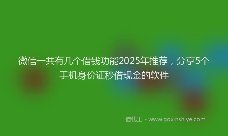 微信一共有几个借钱功能2025年推荐，分享5个手机身份证秒借现金的软件