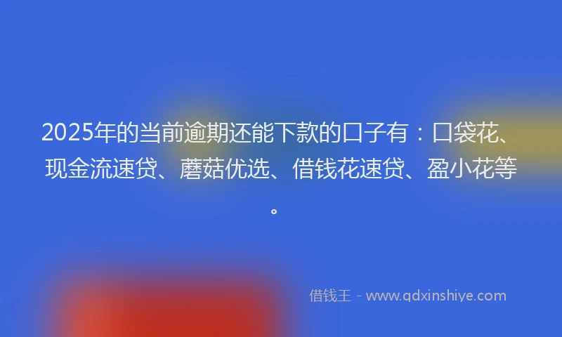 2025年的当前逾期还能下款的口子有：口袋花、现金流速贷、蘑菇优选、借钱花速贷、盈小花等。