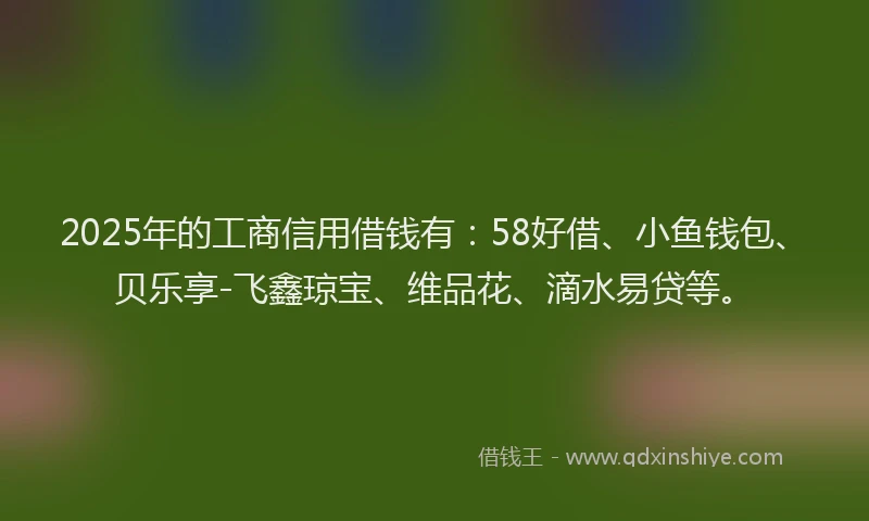 2025年的工商信用借钱有：58好借、小鱼钱包、贝乐享-飞鑫琼宝、维品花、滴水易贷等。