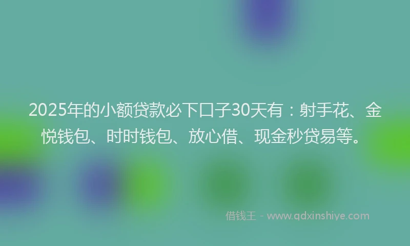 2025年的小额贷款必下口子30天有：射手花、金悦钱包、时时钱包、放心借、现金秒贷易等。