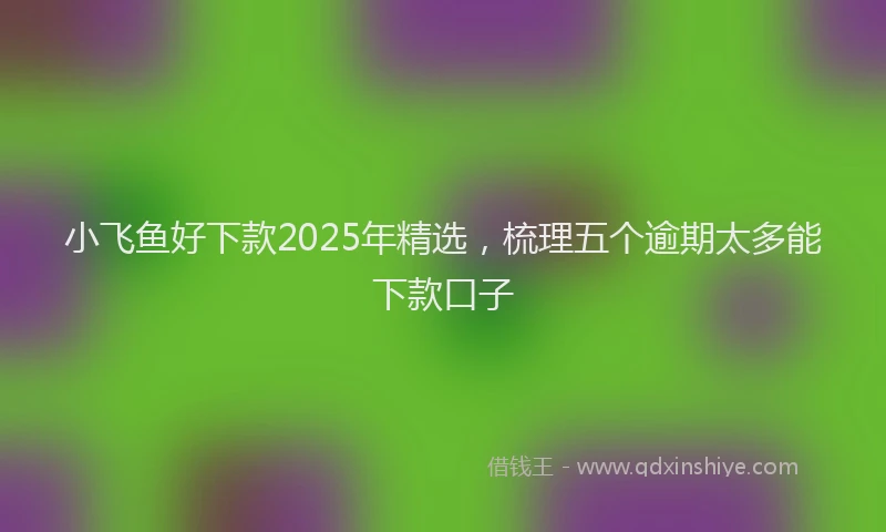 小飞鱼好下款2025年精选，梳理五个逾期太多能下款口子
