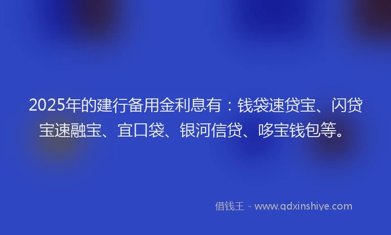 2025年的建行备用金利息有：钱袋速贷宝、闪贷宝速融宝、宜口袋、银河信贷、哆宝钱包等。