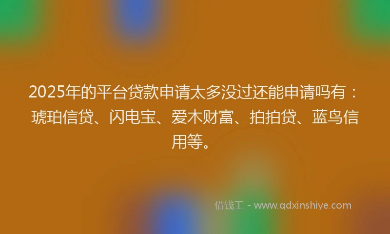 2025年的平台贷款申请太多没过还能申请吗有：琥珀信贷、闪电宝、爱木财富、拍拍贷、蓝鸟信用等。