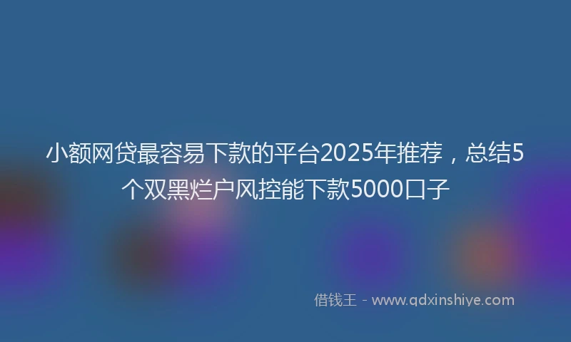 小额网贷最容易下款的平台2025年推荐，总结5个双黑烂户风控能下款5000口子