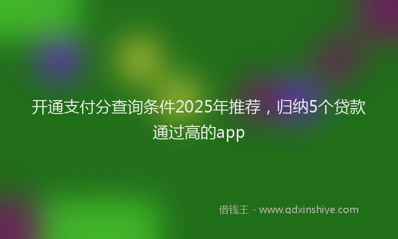 开通支付分查询条件2025年推荐，归纳5个贷款通过高的app