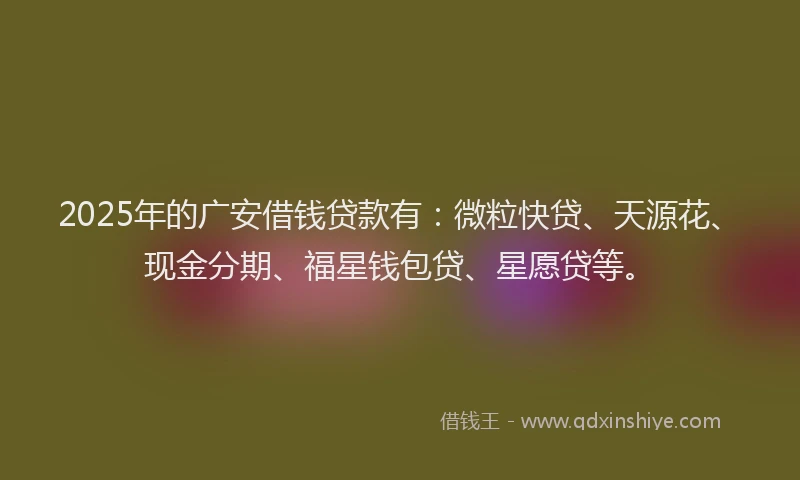 2025年的广安借钱贷款有：微粒快贷、天源花、现金分期、福星钱包贷、星愿贷等。