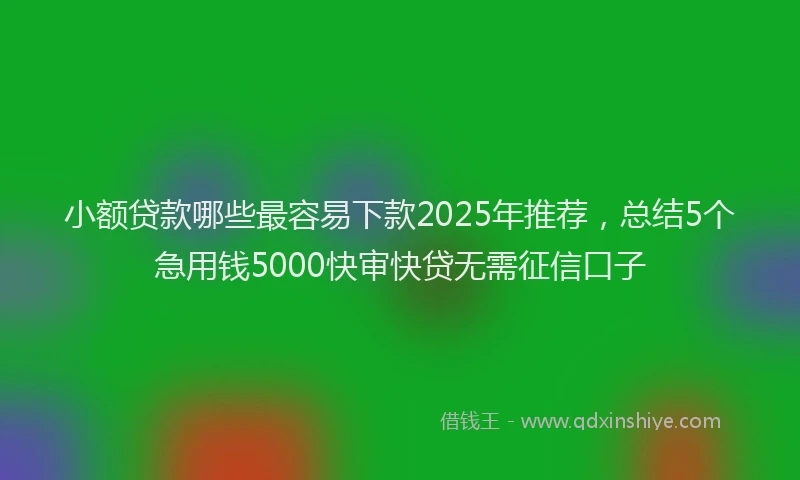 小额贷款哪些最容易下款2025年推荐，总结5个急用钱5000快审快贷无需征信口子