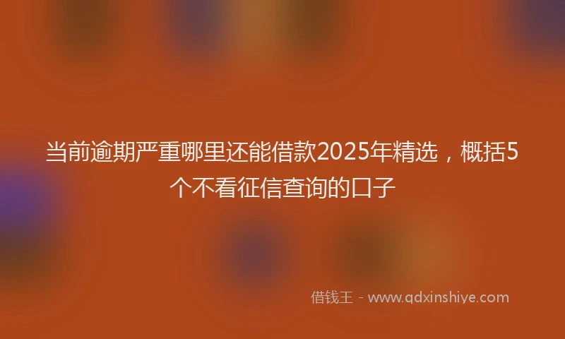 当前逾期严重哪里还能借款2025年精选，概括5个不看征信查询的口子