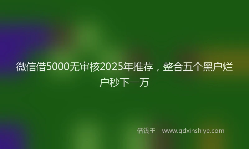 微信借5000无审核2025年推荐，整合五个黑户烂户秒下一万