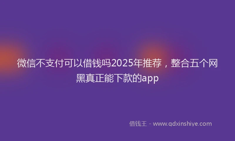 微信不支付可以借钱吗2025年推荐，整合五个网黑真正能下款的app
