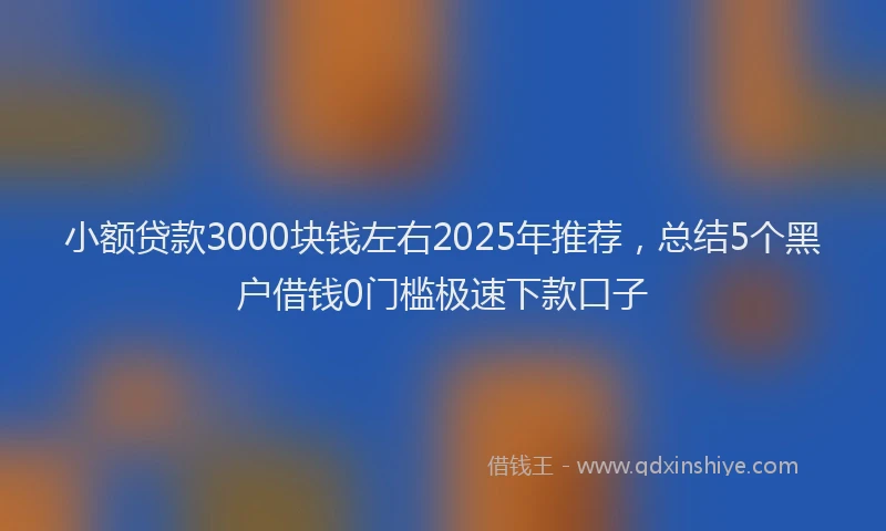 小额贷款3000块钱左右2025年推荐，总结5个黑户借钱0门槛极速下款口子