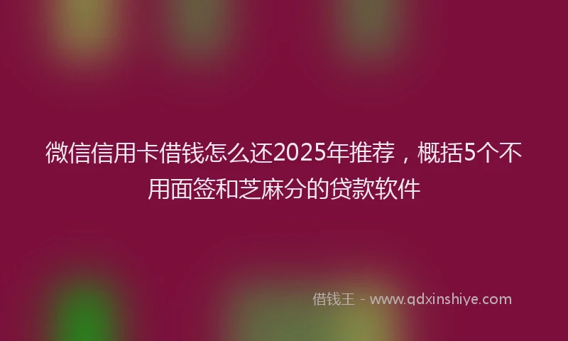 微信信用卡借钱怎么还2025年推荐，概括5个不用面签和芝麻分的贷款软件
