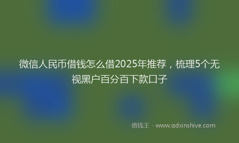 微信人民币借钱怎么借2025年推荐，梳理5个无视黑户百分百下款口子