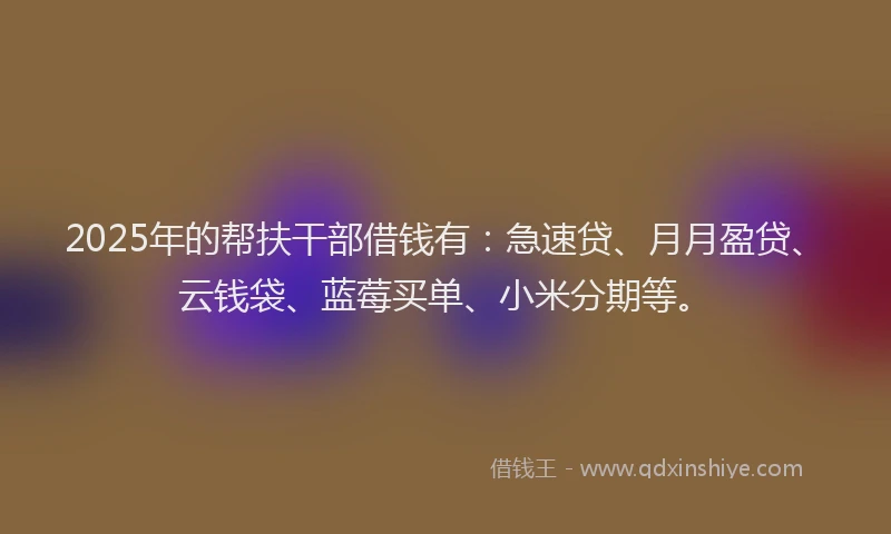 2025年的帮扶干部借钱有：急速贷、月月盈贷、云钱袋、蓝莓买单、小米分期等。