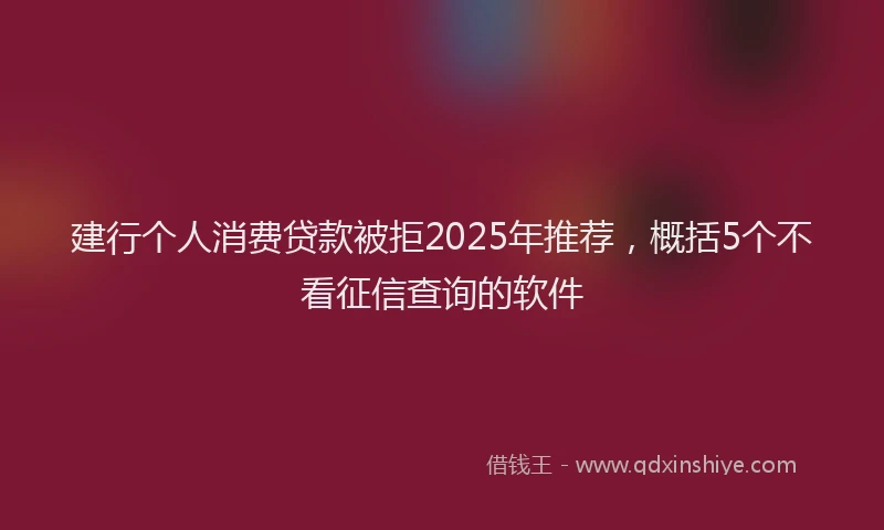 建行个人消费贷款被拒2025年推荐，概括5个不看征信查询的软件