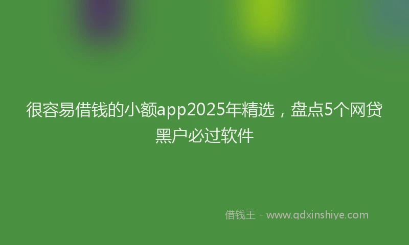 很容易借钱的小额app2025年精选，盘点5个网贷黑户必过软件