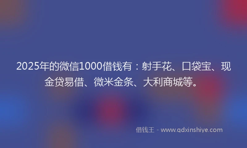 2025年的微信1000借钱有：射手花、口袋宝、现金贷易借、微米金条、大利商城等。
