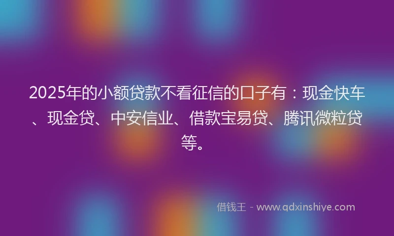 2025年的小额贷款不看征信的口子有：现金快车、现金贷、中安信业、借款宝易贷、腾讯微粒贷等。
