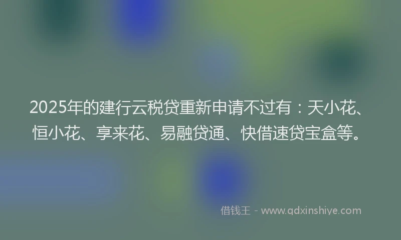 2025年的建行云税贷重新申请不过有：天小花、恒小花、享来花、易融贷通、快借速贷宝盒等。