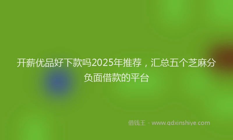 开薪优品好下款吗2025年推荐，汇总五个芝麻分负面借款的平台